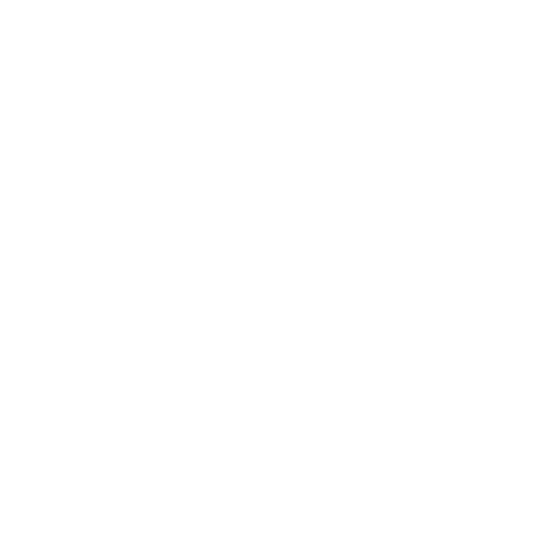 Infant Aquatics Academy Logo